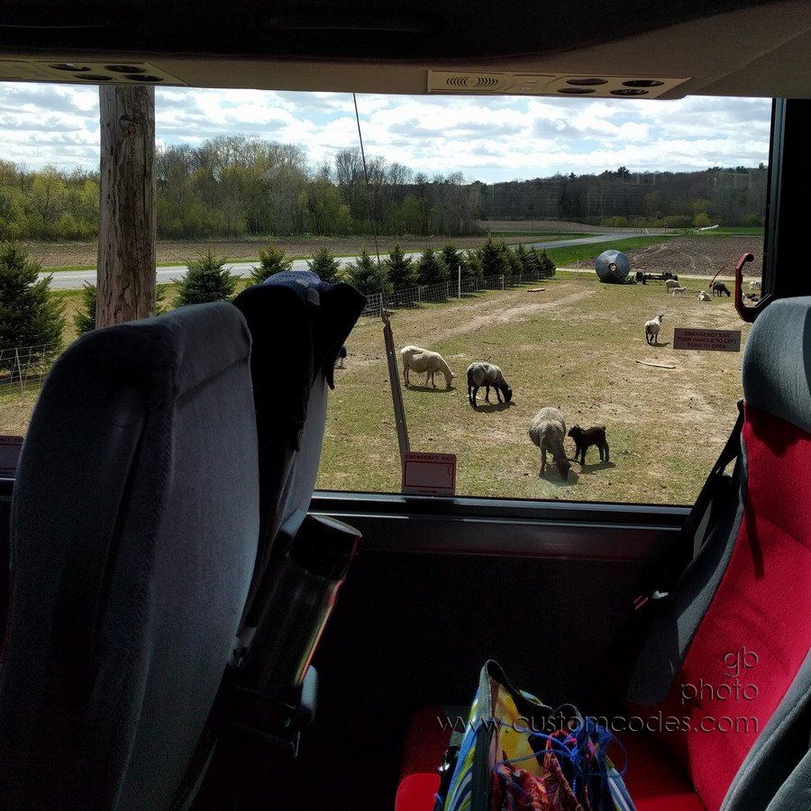HiddenValleyBadgerBus_20170506