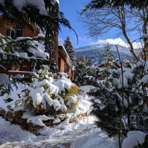 NelsonSnowDay