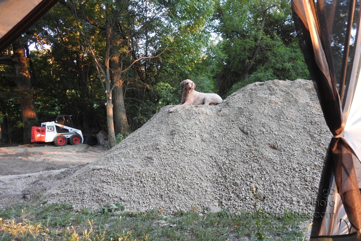 SitePrep_20200829