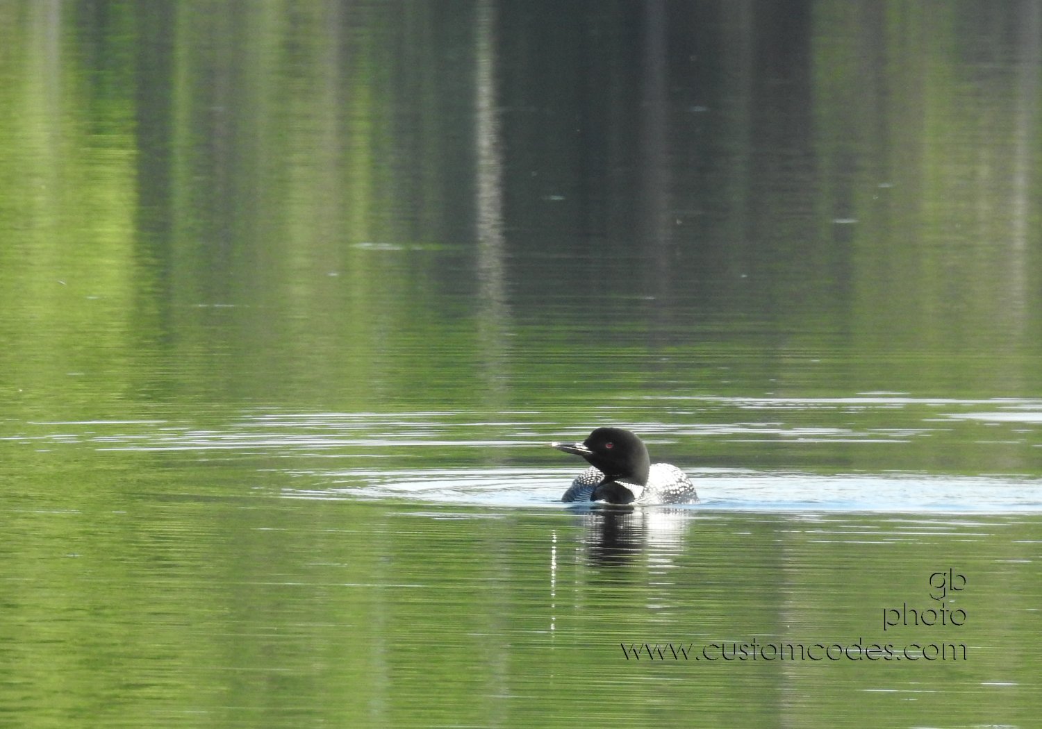 Loon_202107_2