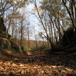 lookingUpstreamAtTheTop