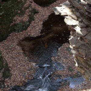 ripples