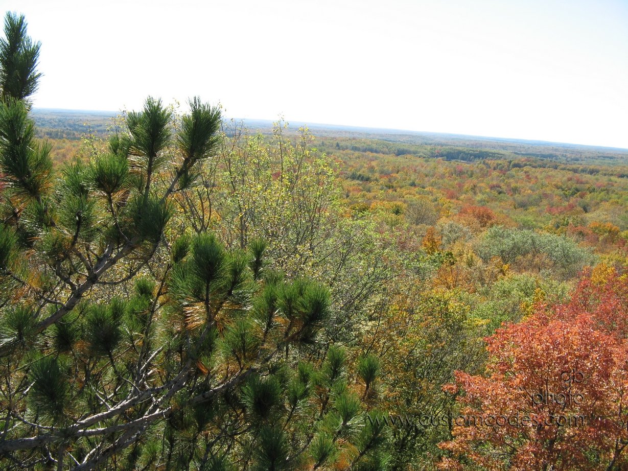 MountainWIFireTowerTreeTops