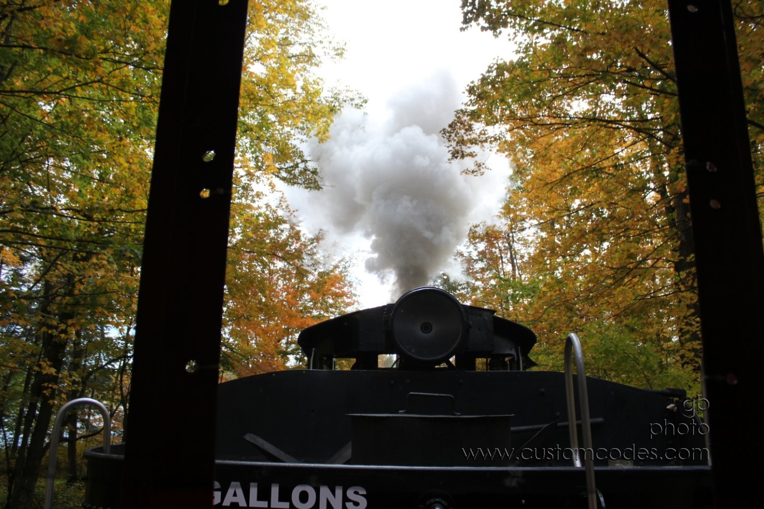 SteamTrainThroughTrees