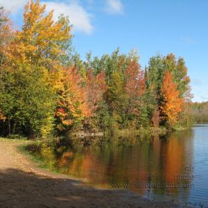 BearLakeNationalForest
