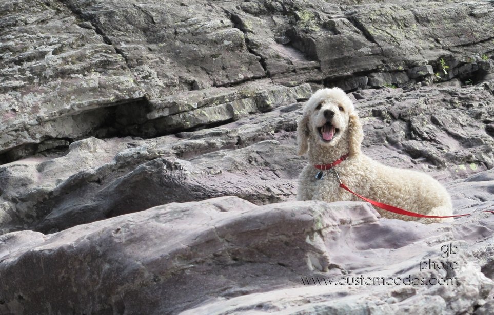 Elwood_SwimmingHoleAtGlacierNP