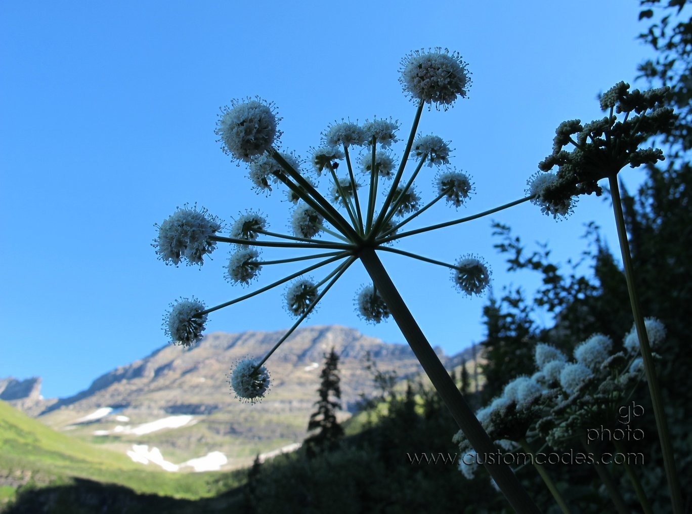Glacier_SnowBalls_20110828