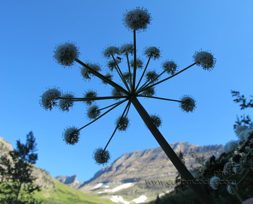 Glacier_SnowBalls2_20110828