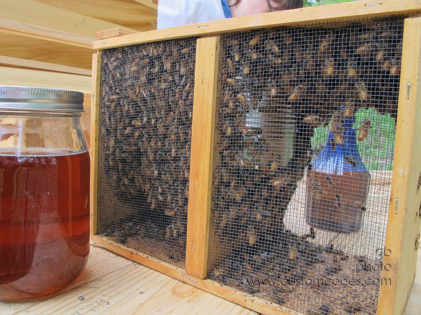 PackageOfBees_20160509