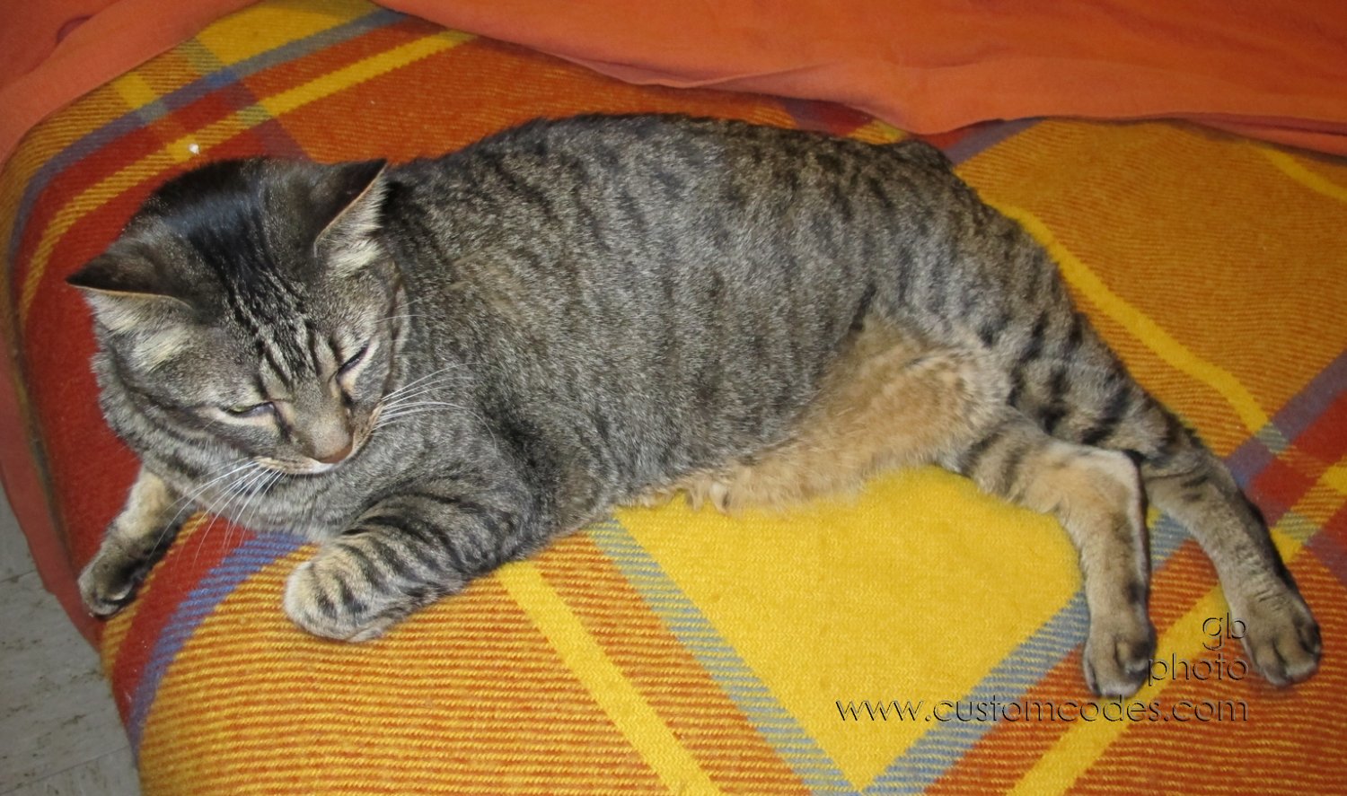 naptime_201400906