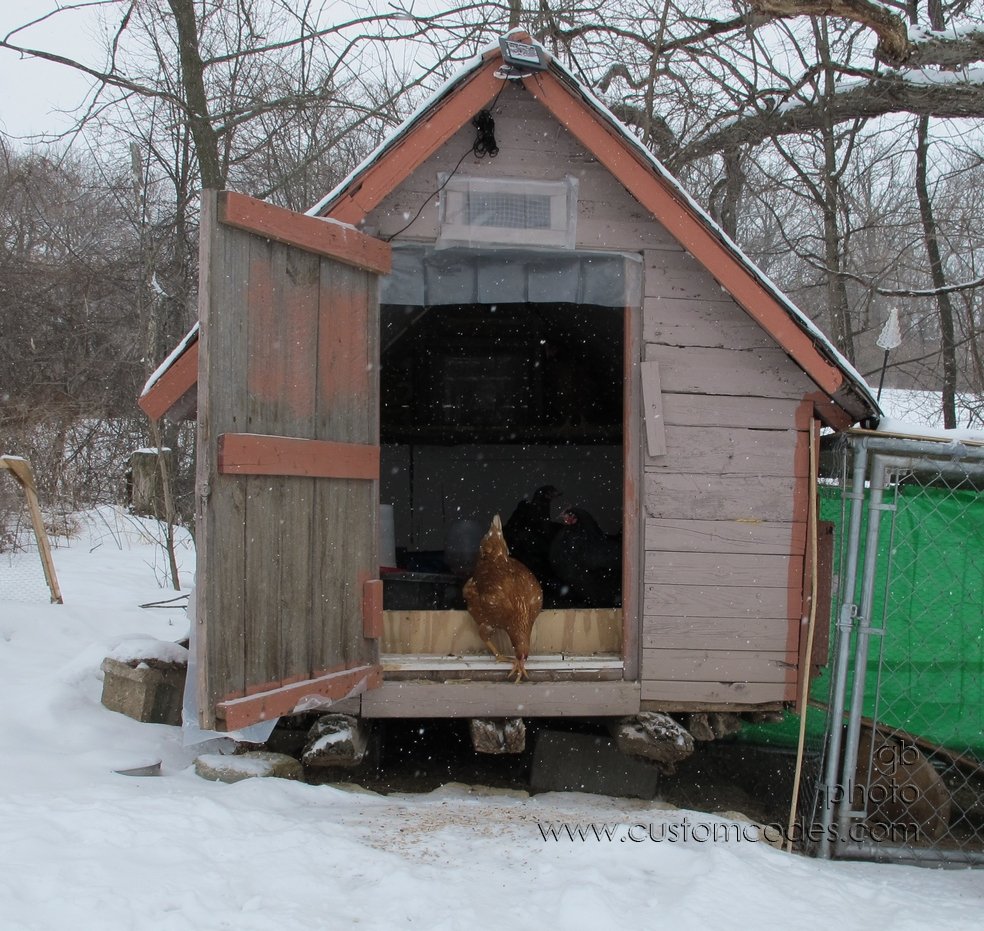 coopFever_20140301