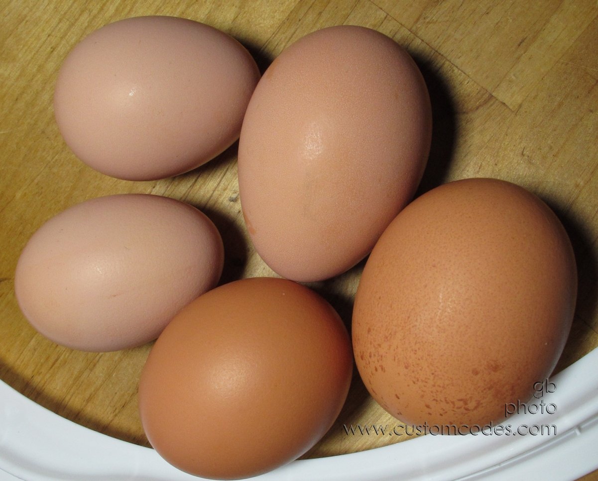 5EggDay_20140326