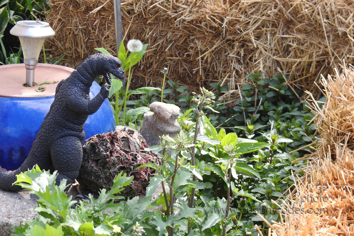 GardenProtector_20210508