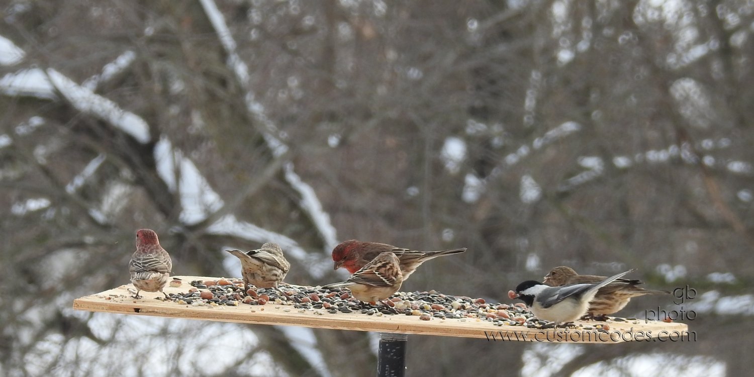 Lunch_20210220