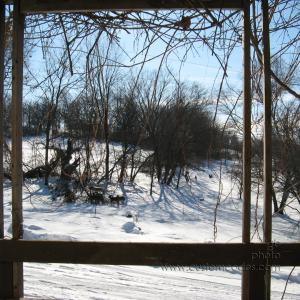 DeerAfterFirstAlert