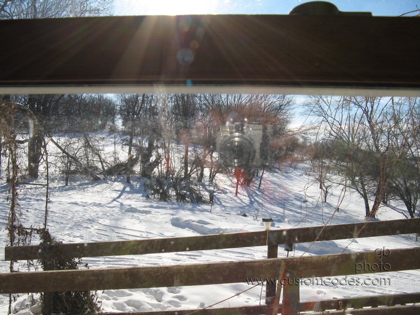 DeerOutWindowWithReflection