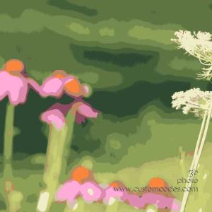 july_morning 021_small
