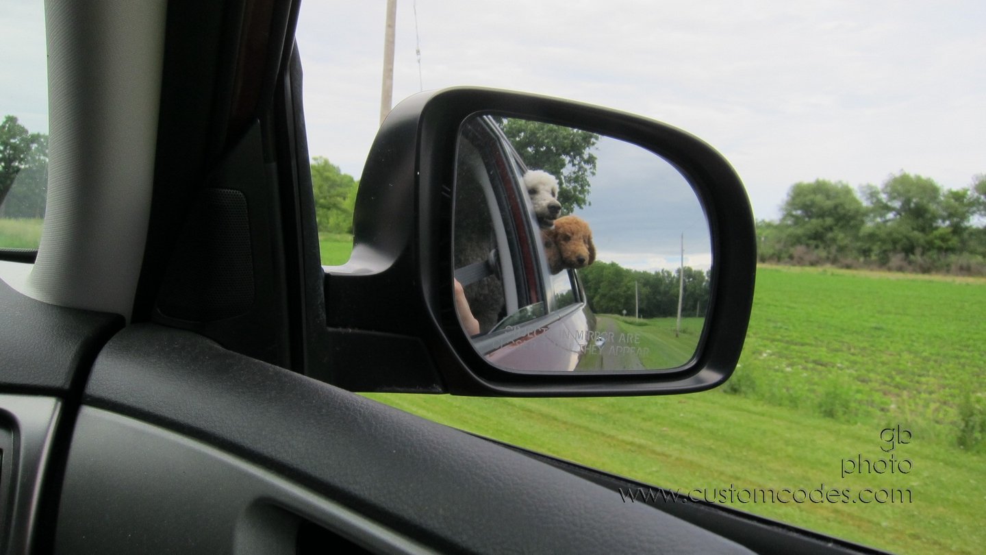FirstCarRideOfSummer_20140621