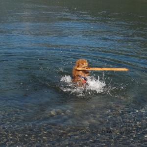 LookMomImSwimming