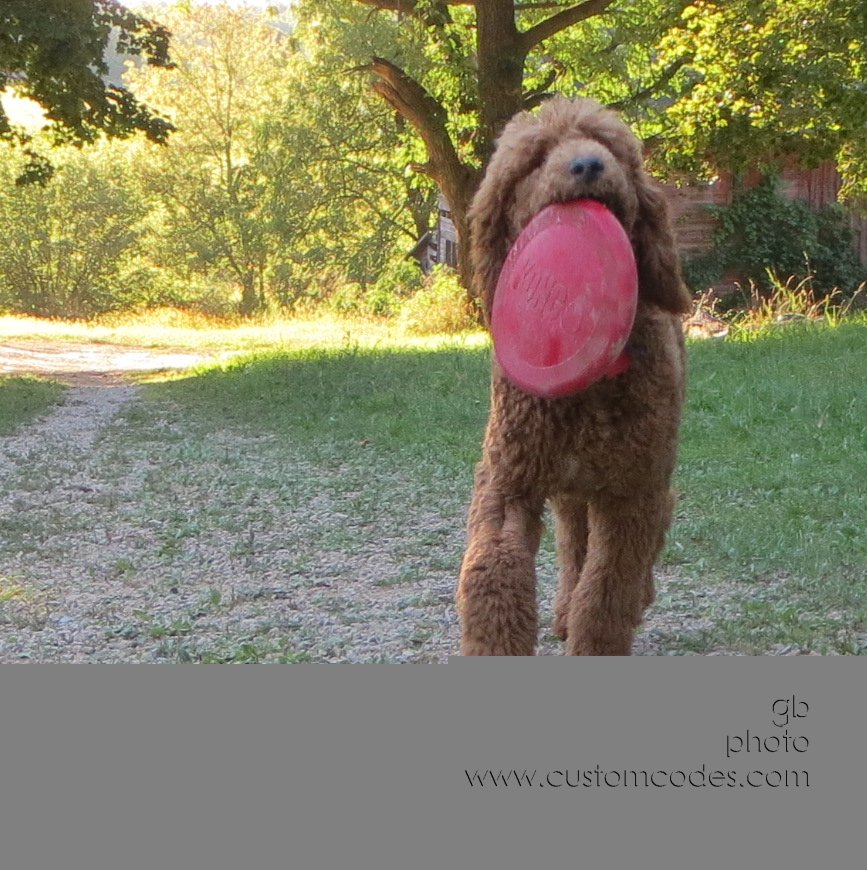 CiCoch_20140907