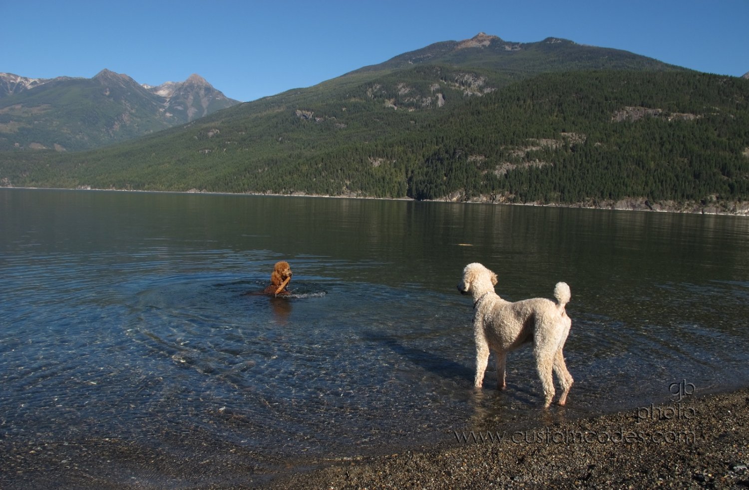 ElwoodCiCoch_KasloLake