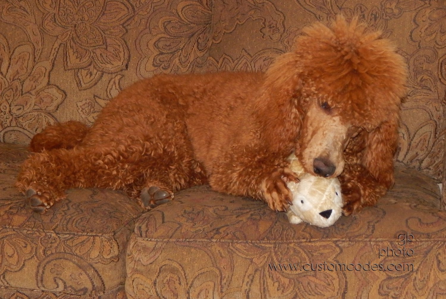CiCochMorningChew_20141123_2