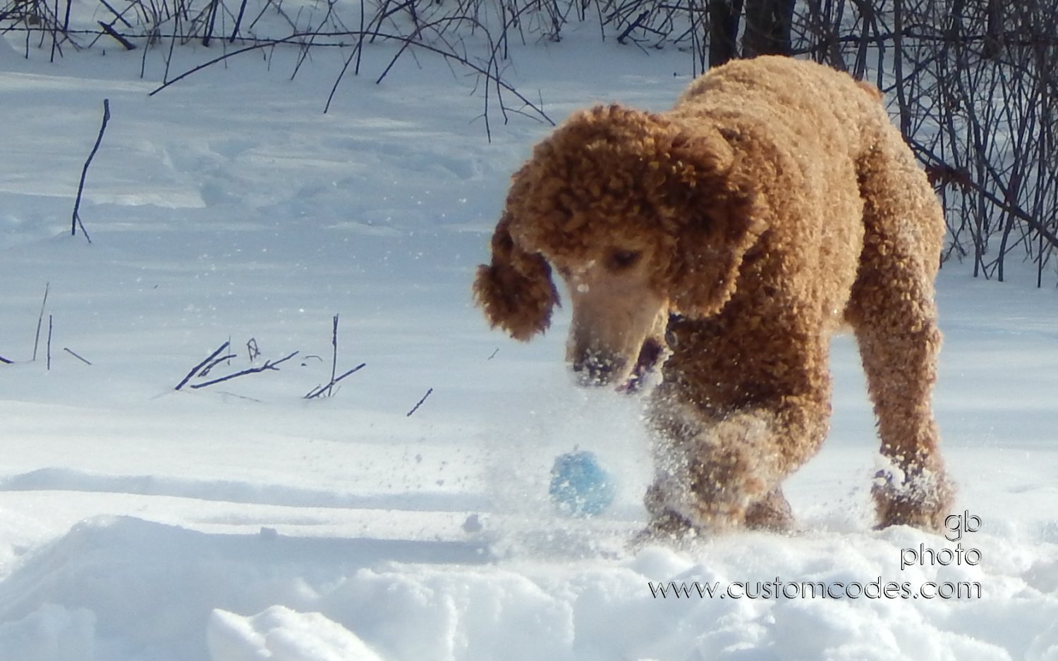 FoundIt_20150204