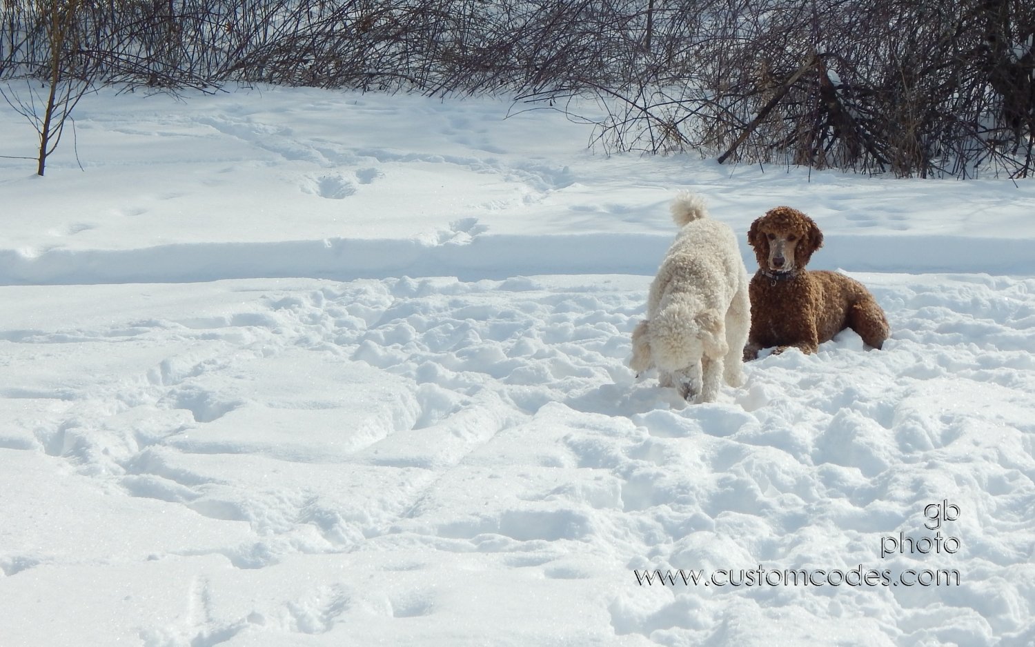waiting_20150204