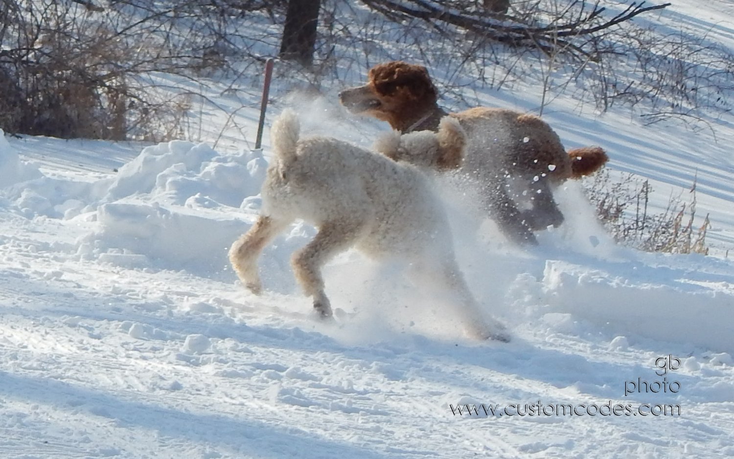 zoom_20150203