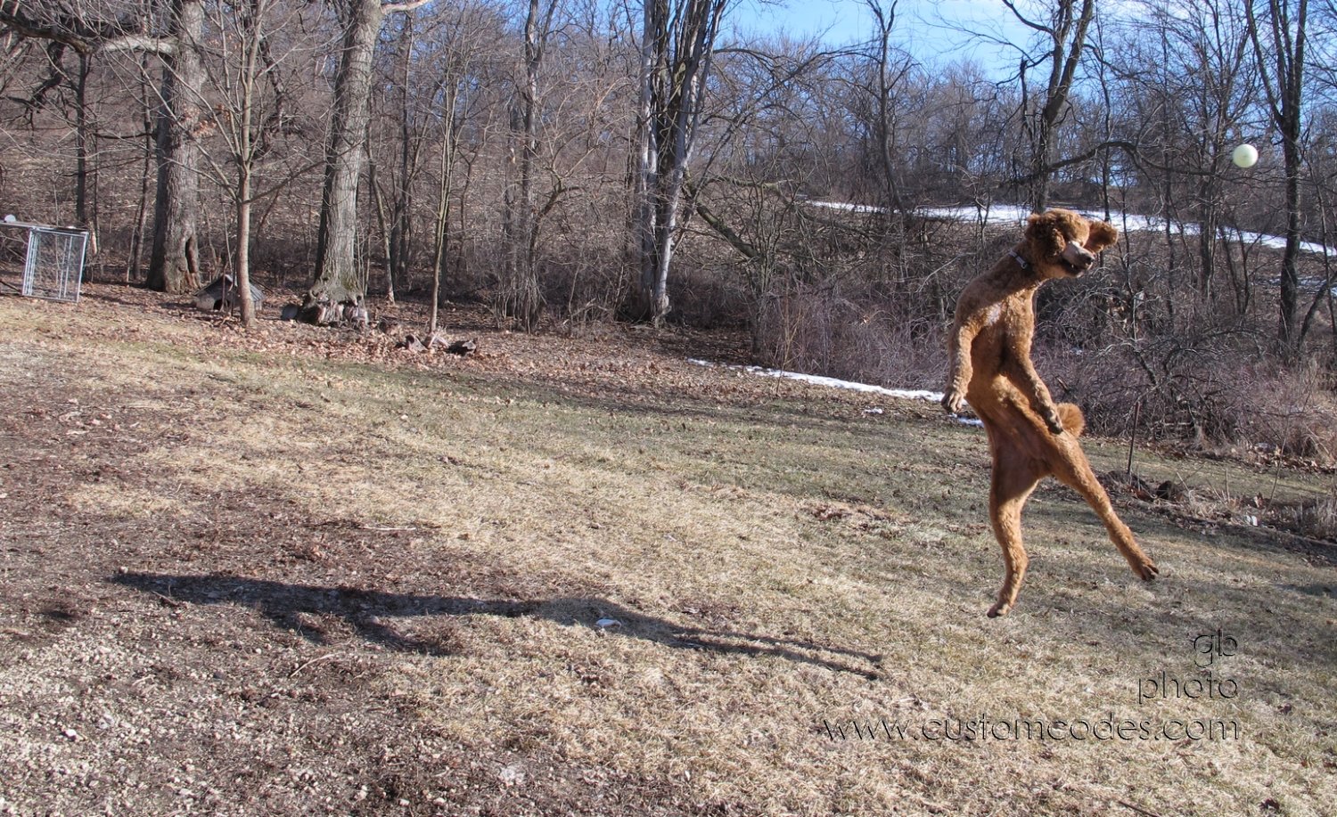airborne_20150312