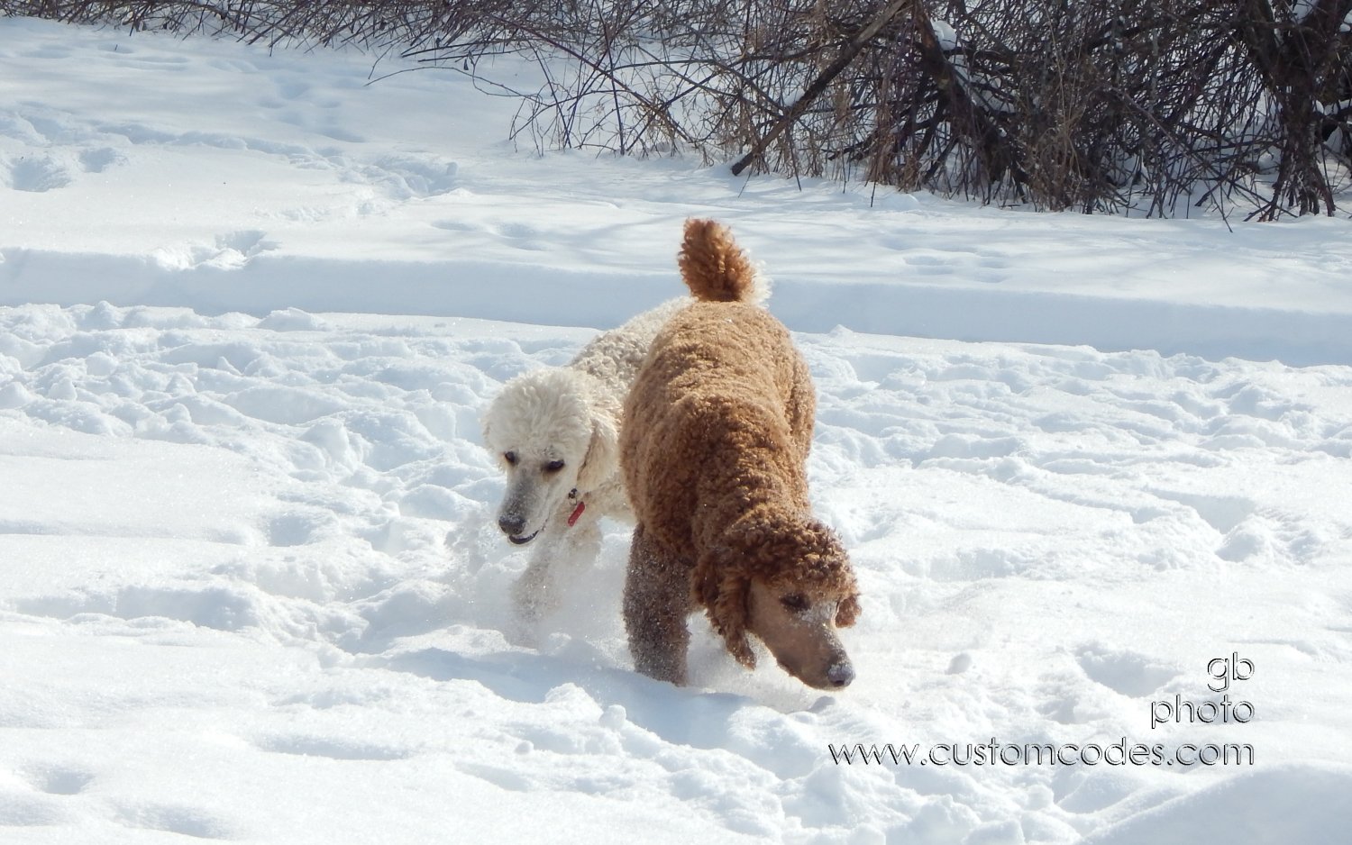 Nose2Ground_20150204