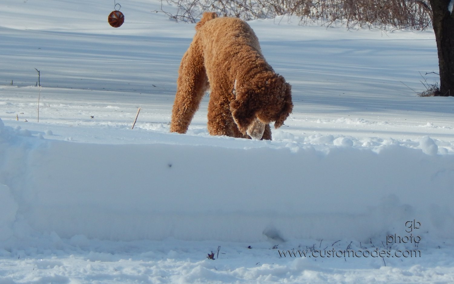 CiCoch_20150203_FindIt