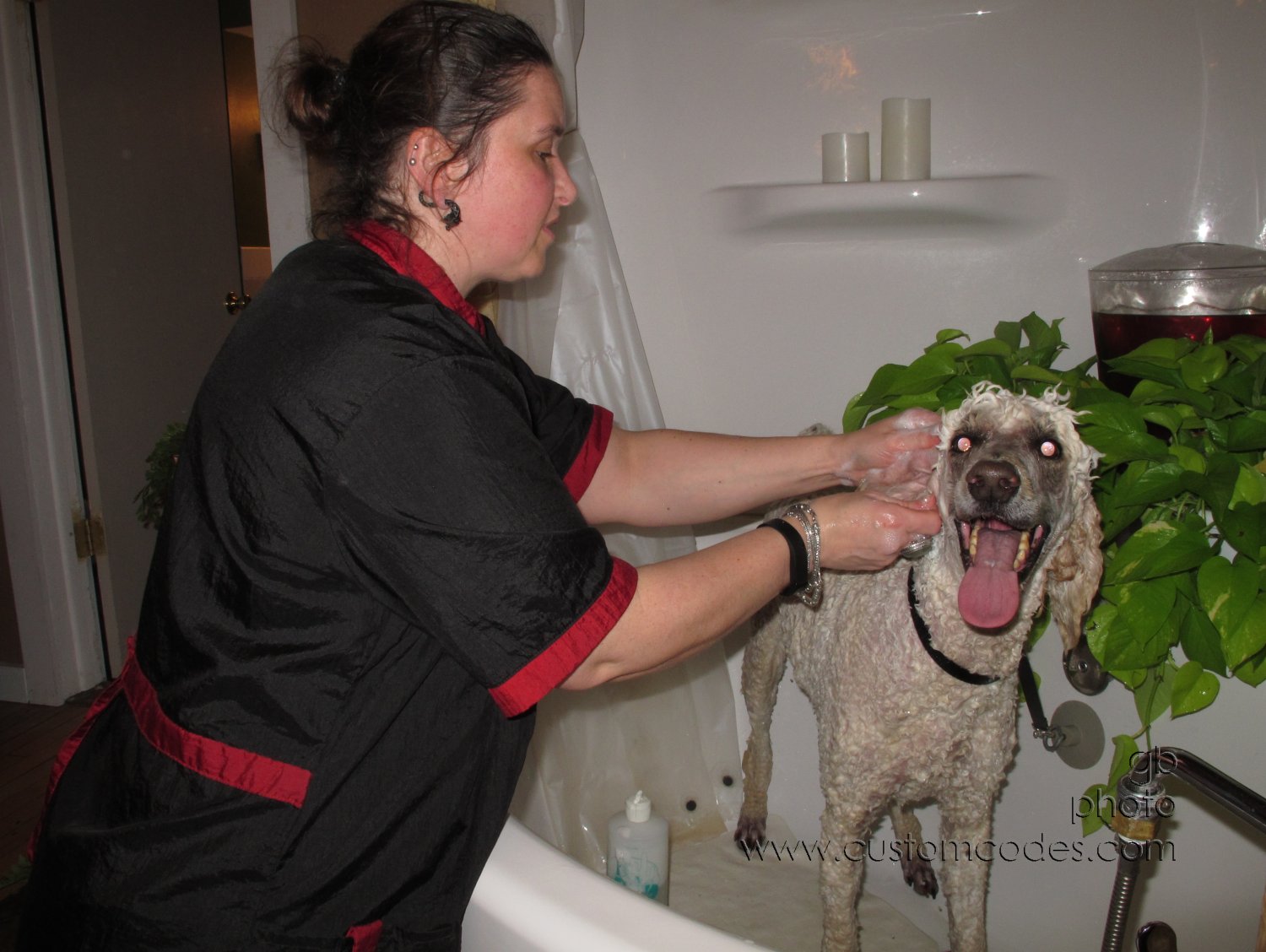 ElwoodBath_20150311