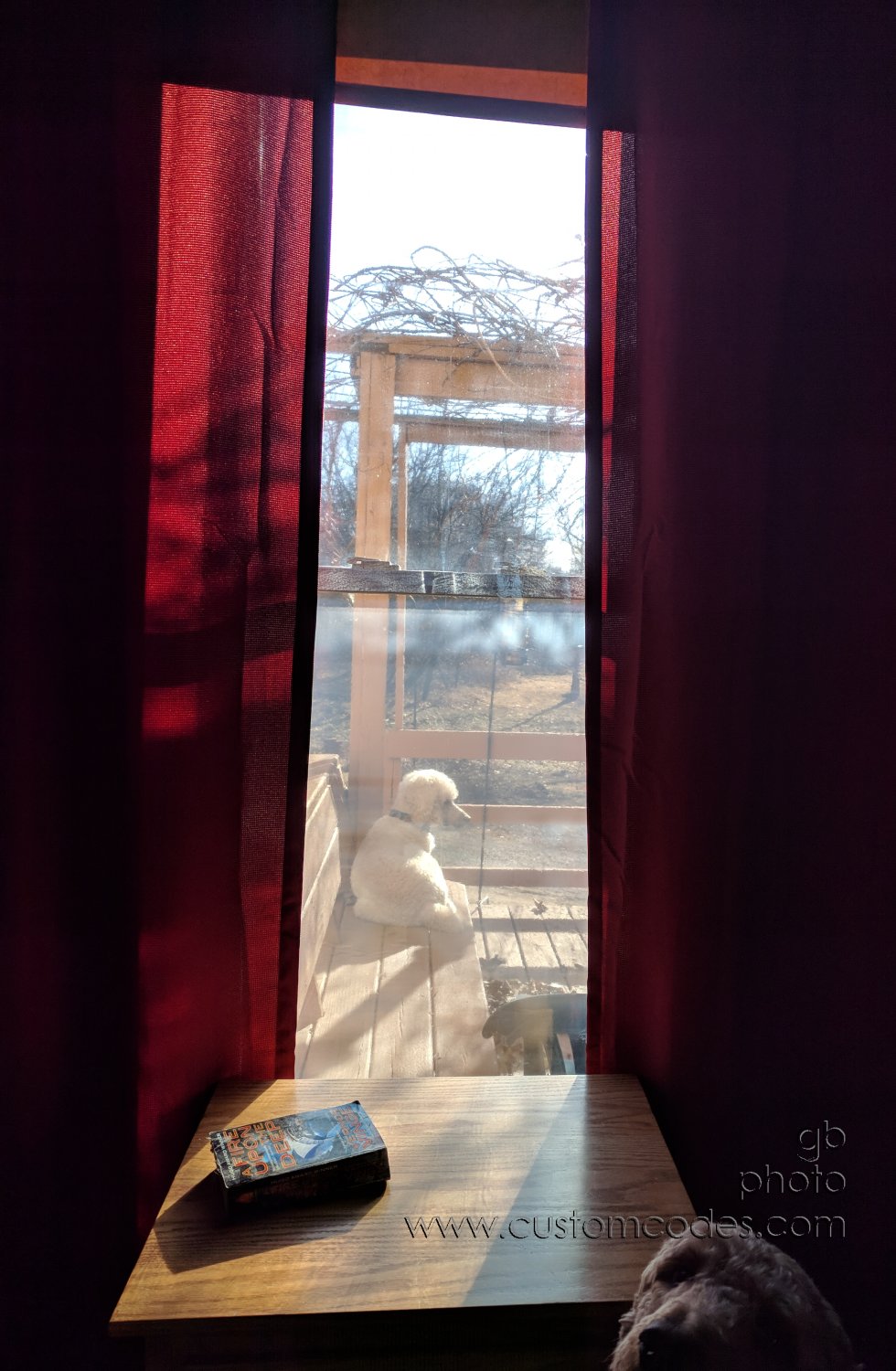 ElwoodOnGuard_20190116