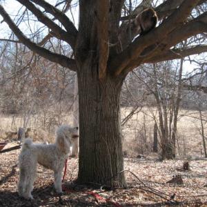 elwoodNsammy090316