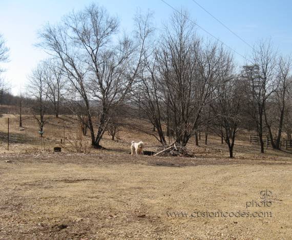 elwoodBlendingIn090316