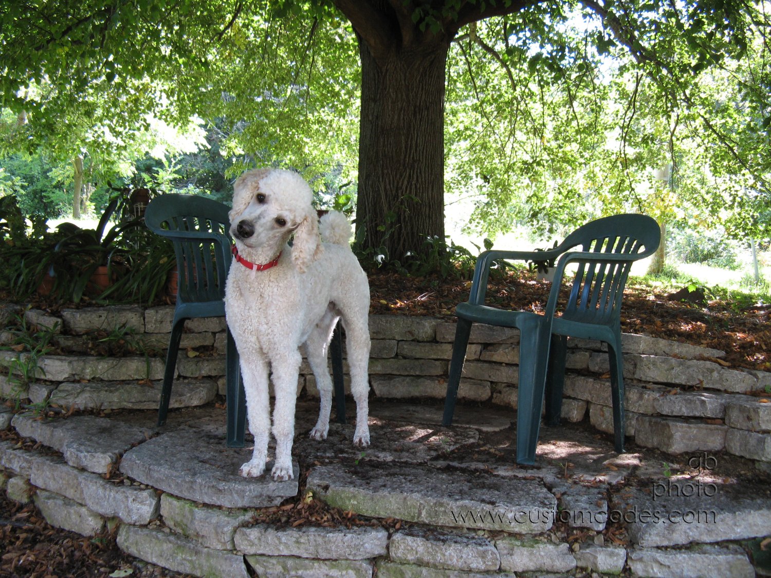 Elwood_090826