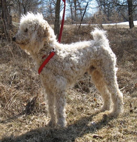 elwood_profile_090316