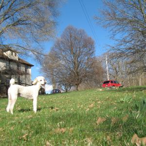 LookingUphill20100403