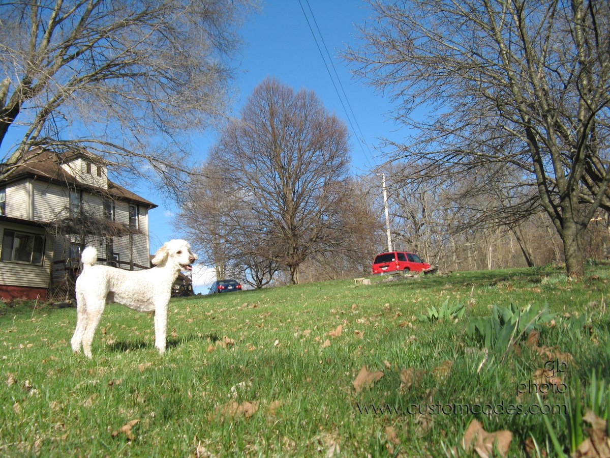 LookingUphill20100403