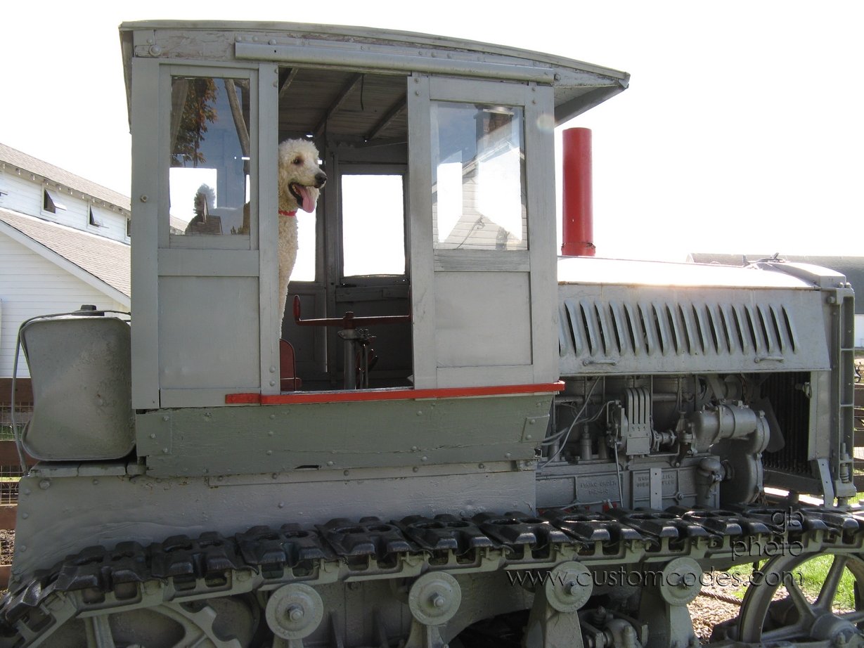 ElwoodOnLogHauler2