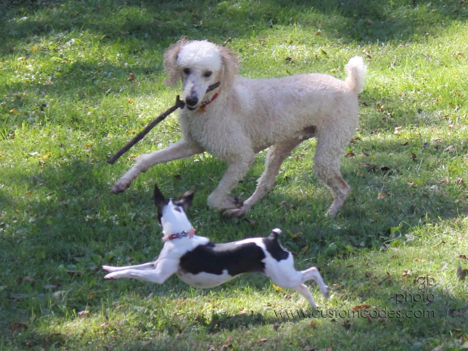 LetsPlay