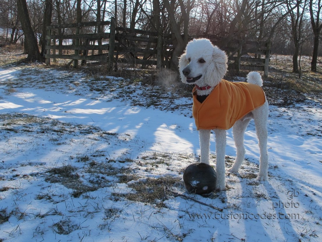 Elwood_Watermelon_2011_0108