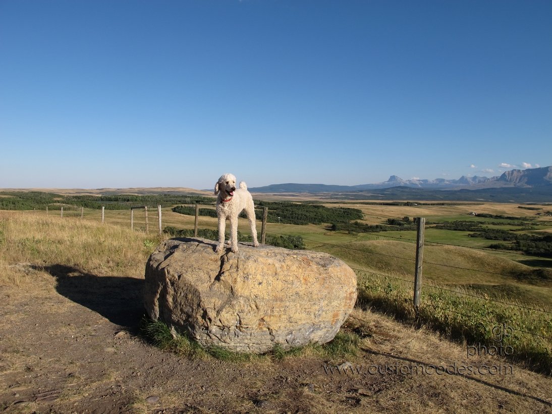 Elwood_OutsideOfWatertonNP