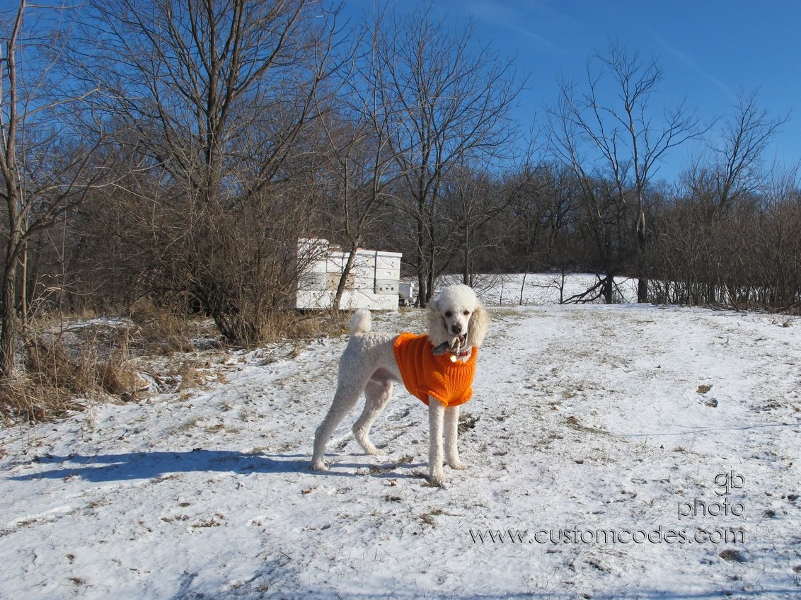 ElwoodWithSnack_2011_0106