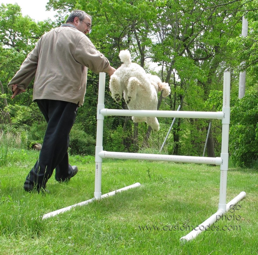 ElwoodFirstJumps20120512