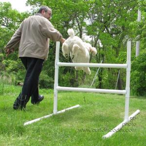 ElwoodFirstJumps20120512