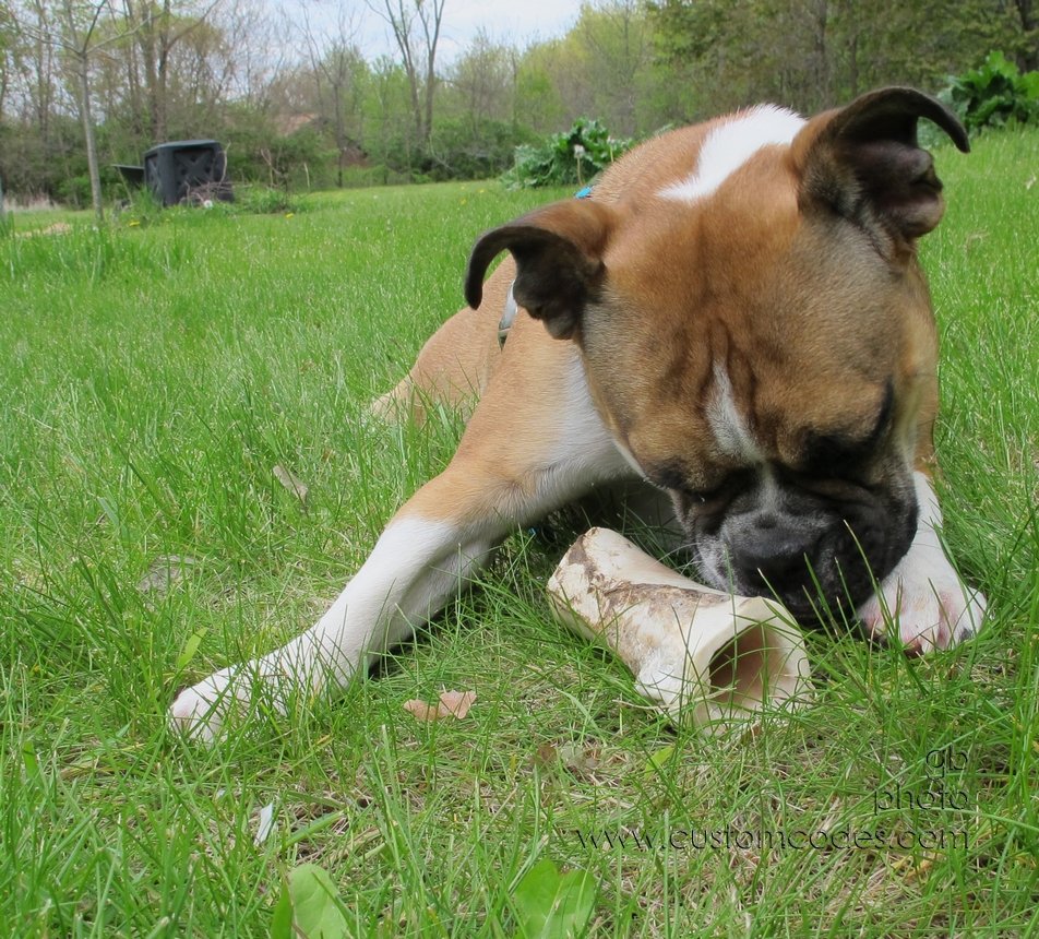 Annie_20120429_13