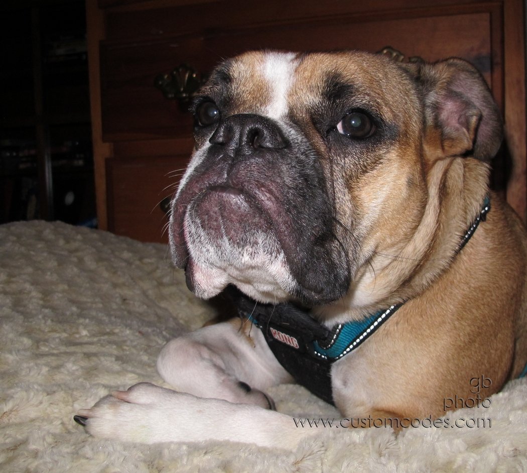 Annie_20120428
