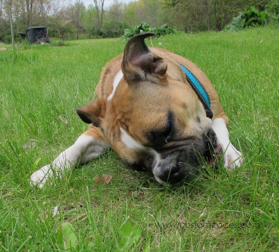 Annie_20120429_14